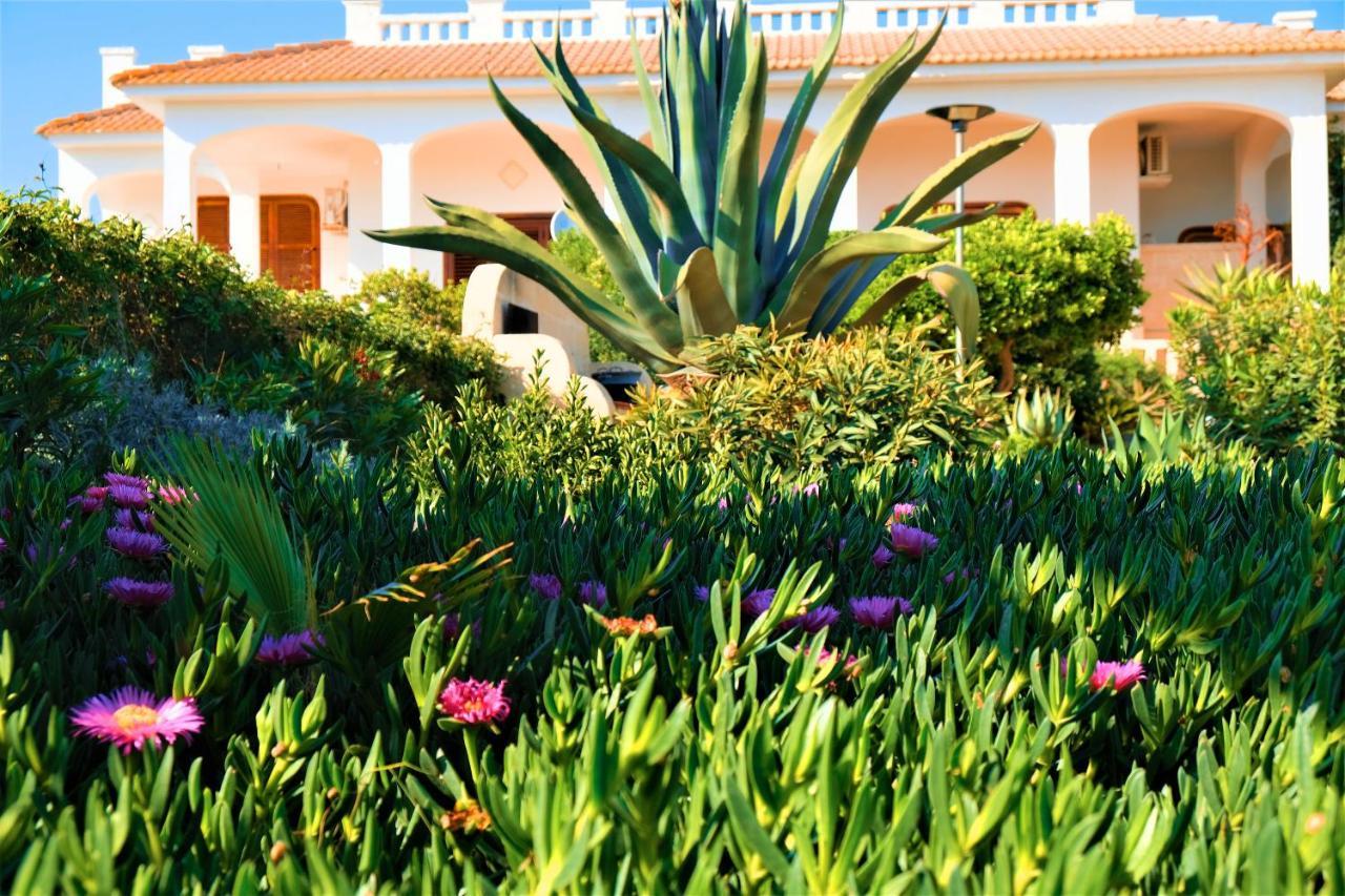 Villa Sette Nani Torre Lapillo Exteriör bild